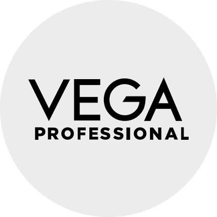 VEGA Professional logo
